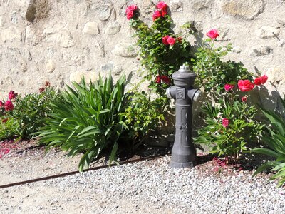 Flowers wall fire