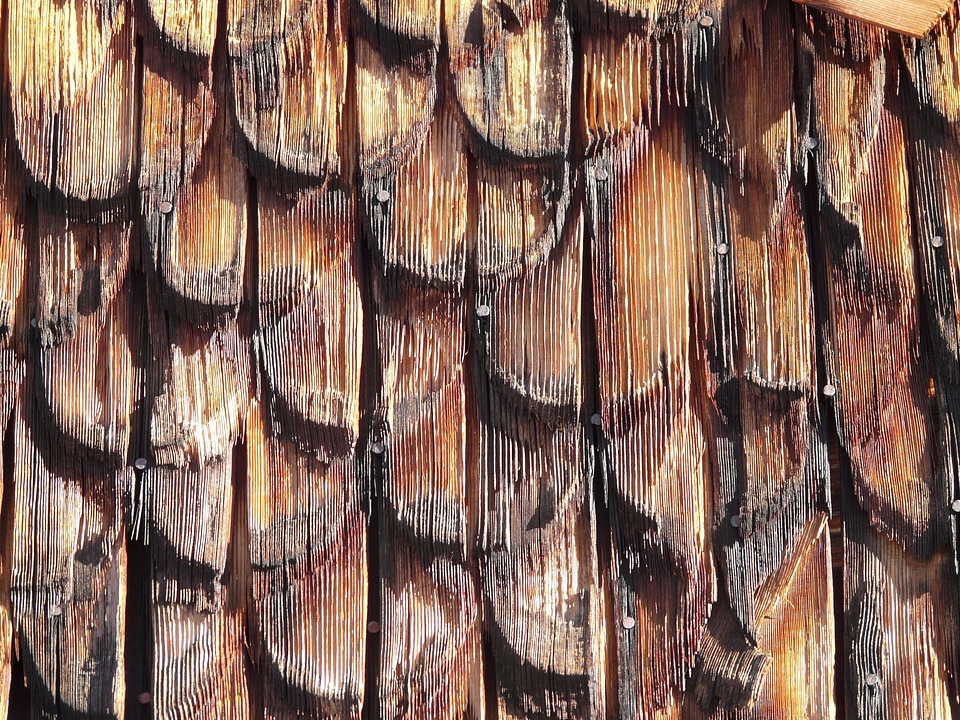 Facade cladding wood shingle grain