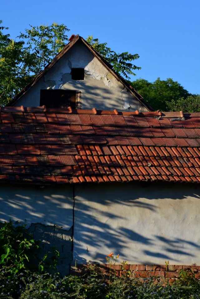 Structure texture rustic
