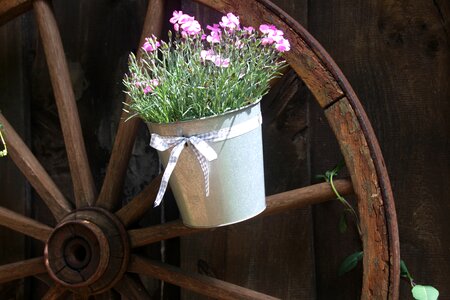 Old wagon wheel wooden wheel flower