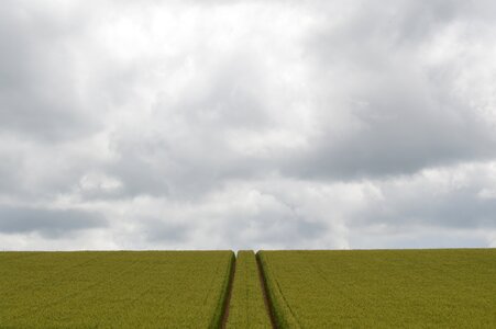 Sky grey sky green