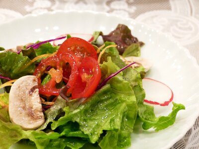 Plate tomato fresh