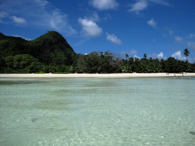 Palms paradise sea