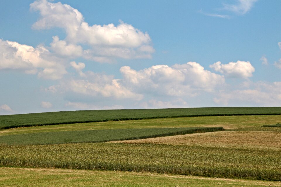 Cornfield meadow mountains