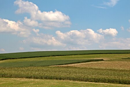 Cornfield meadow mountains photo