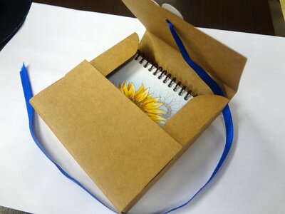 The scratch pad cardboard sleeve mimosa tape