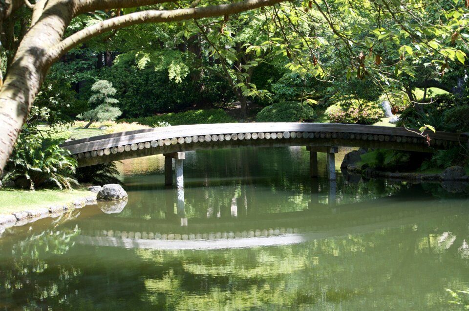 Calmness peaceful place green calm