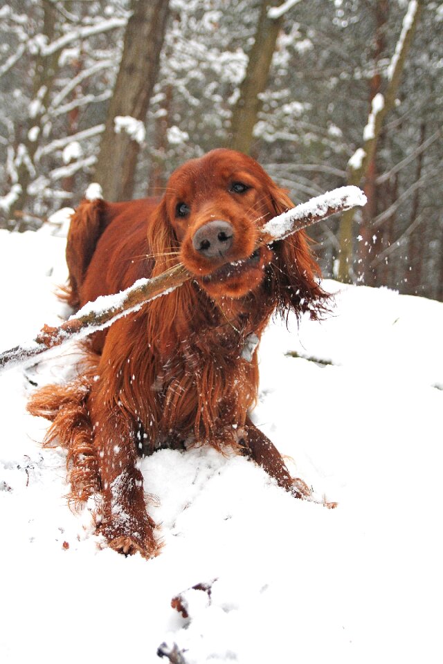 Fun spacer setter