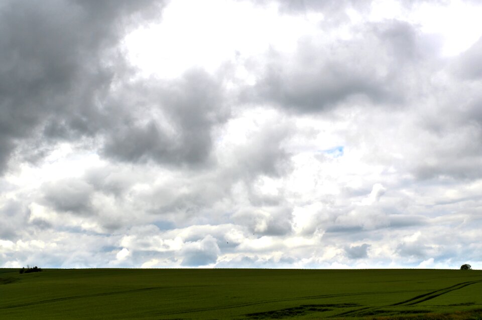 Wheat agriculture cloud