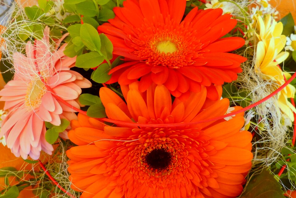 Birthday bouquet bouquet orange photo