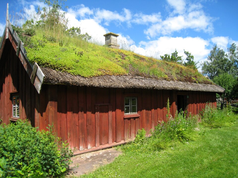 Village grass summer