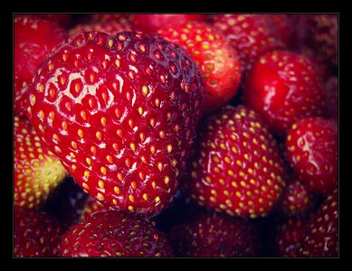 Fetus macro strawberries