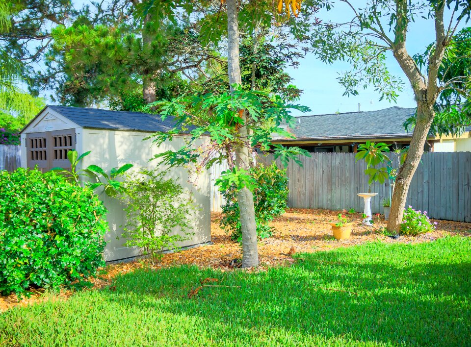 Wooden shed garden