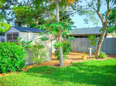 Wooden shed garden photo