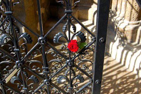 Goal grid rose