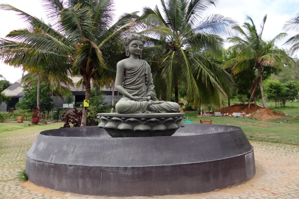 Meditation yoga india