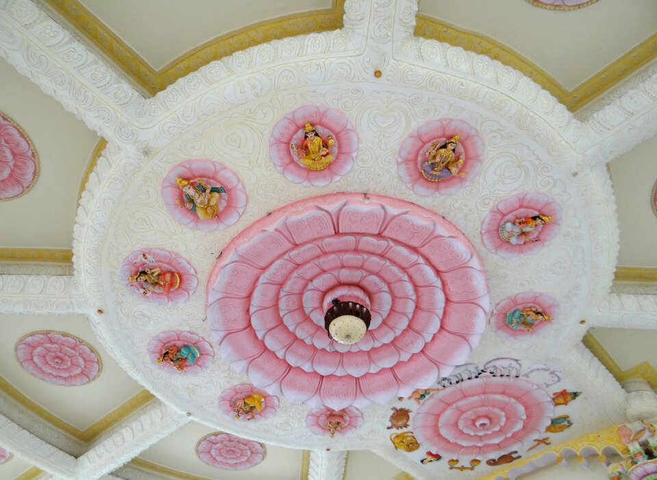 Ceiling ornate floral