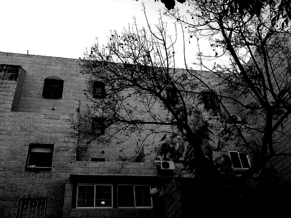 Nature home structure
