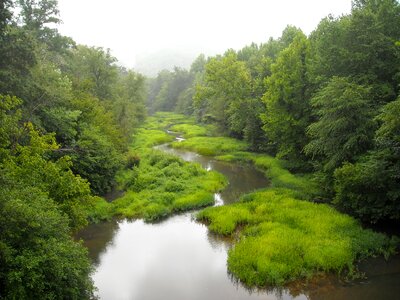 Creek woods scenery