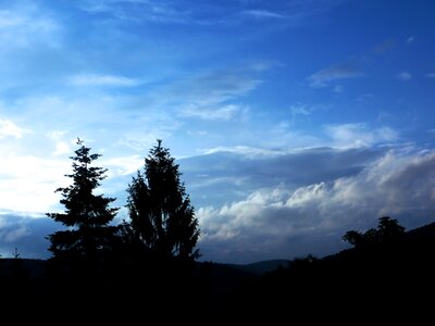 Trees clouds dramatic clouds