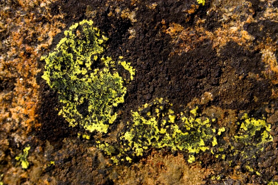 Nature rock