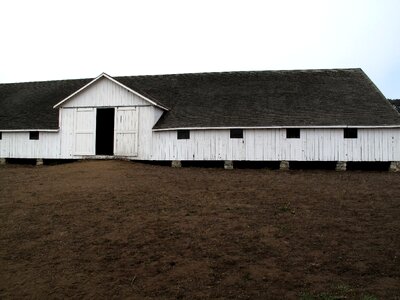 Tranquil abandoned
