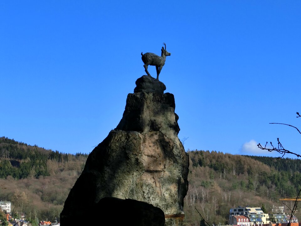 Chamois bronze rock