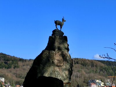 Chamois bronze rock