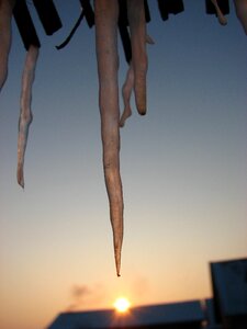 Frost immobility sunrise