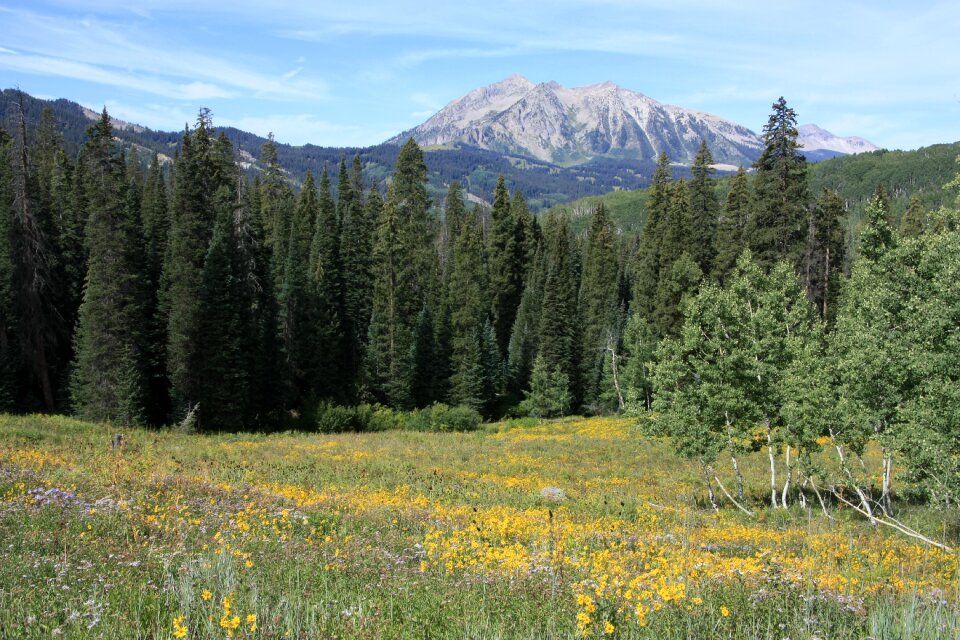 Colorado landscape