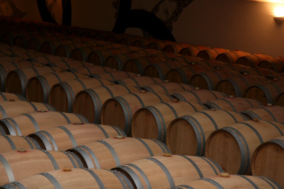 Wine bordeaux france