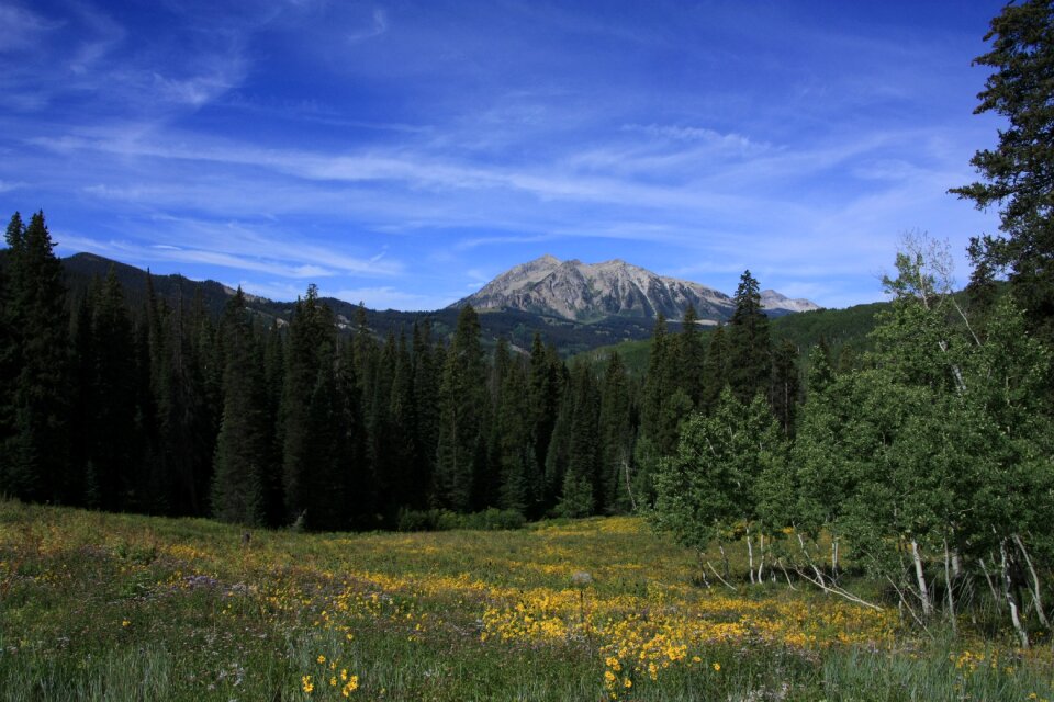Colorado crested butte