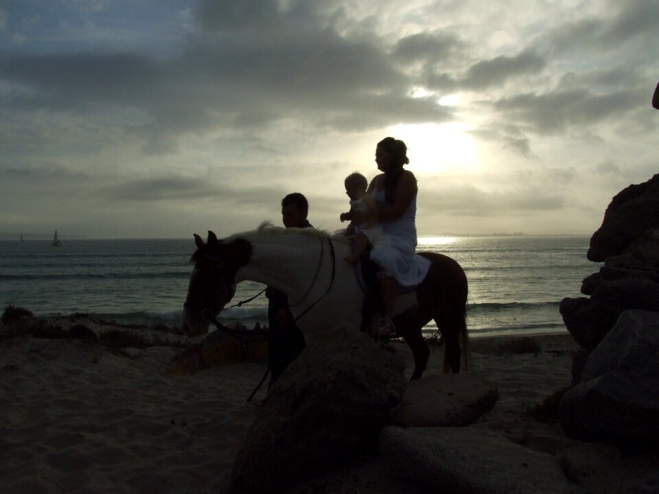 Silhouette family horseback