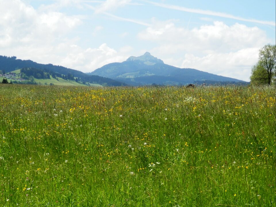 Panorama mountains outlook