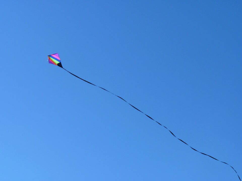 Kites rise flying autumn