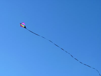 Kites rise flying autumn