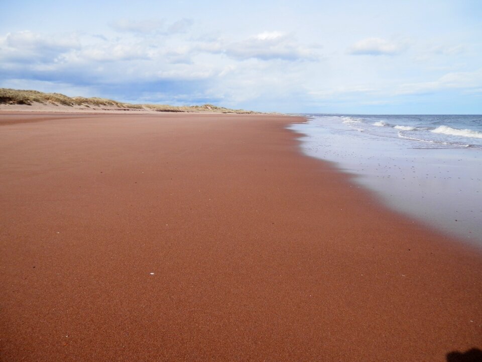 Beach sea nature