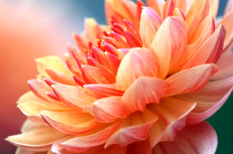 Soft beautiful