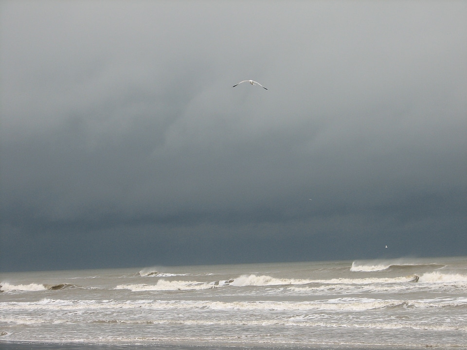 Grey water waves