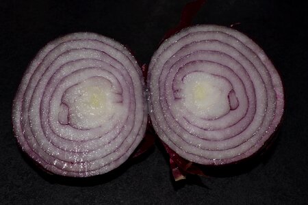 Onion eating vegetarian photo
