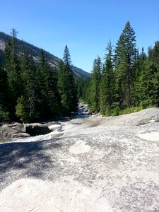 Natural forest landscape