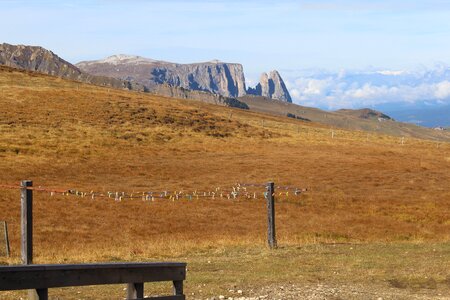 Alpine panorama south tyrol photo