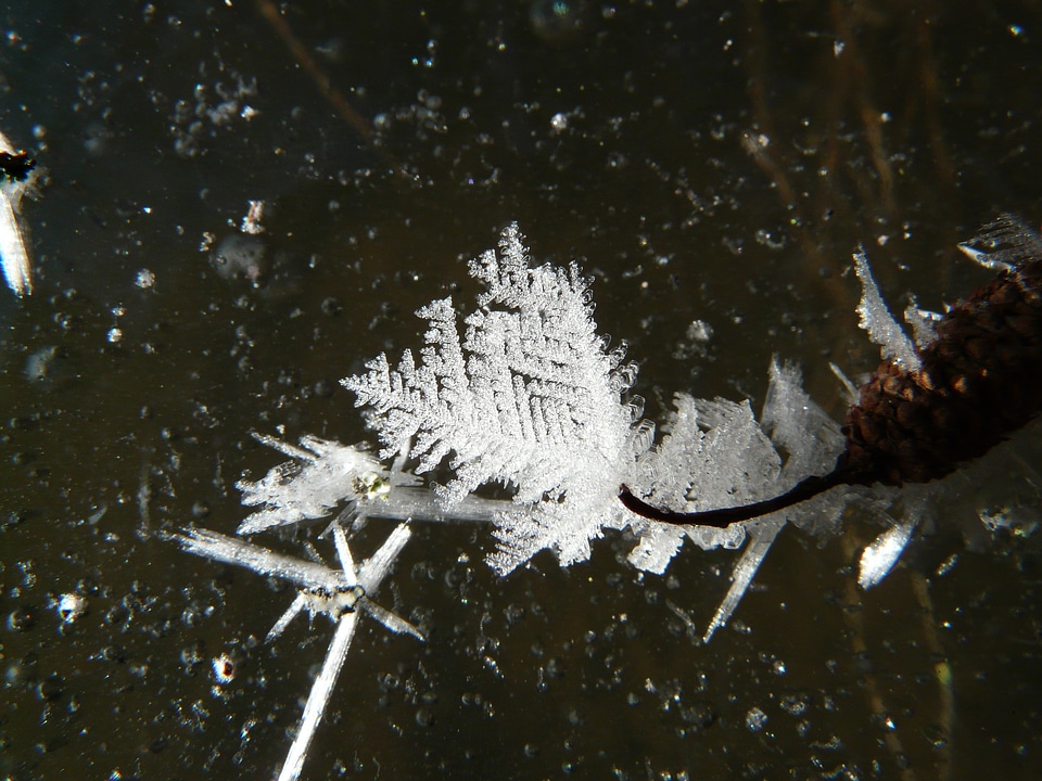 Snowflake winter cold