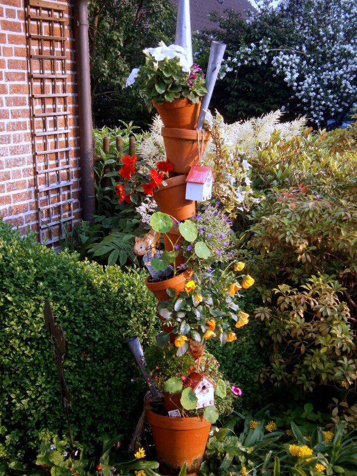 Flower pots plant colorful