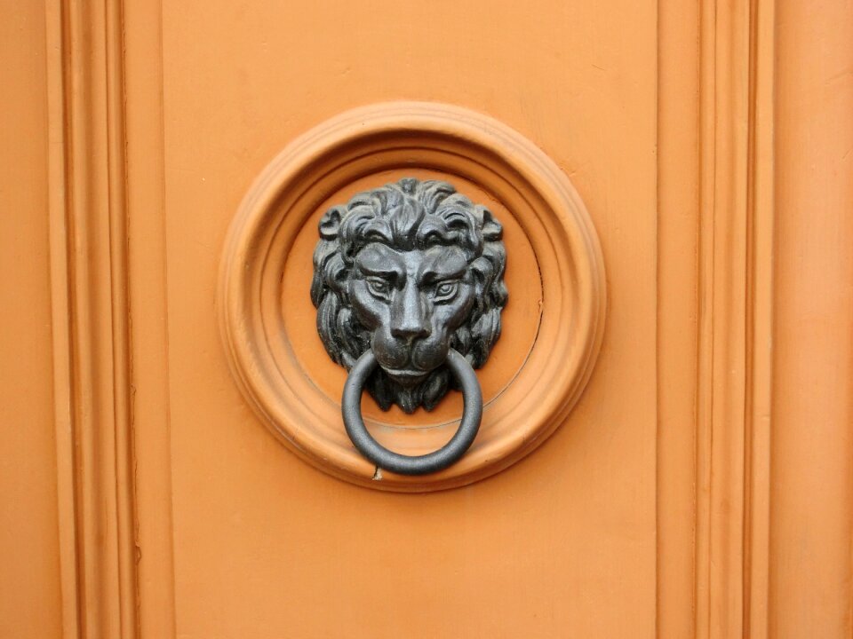Lion bronze input