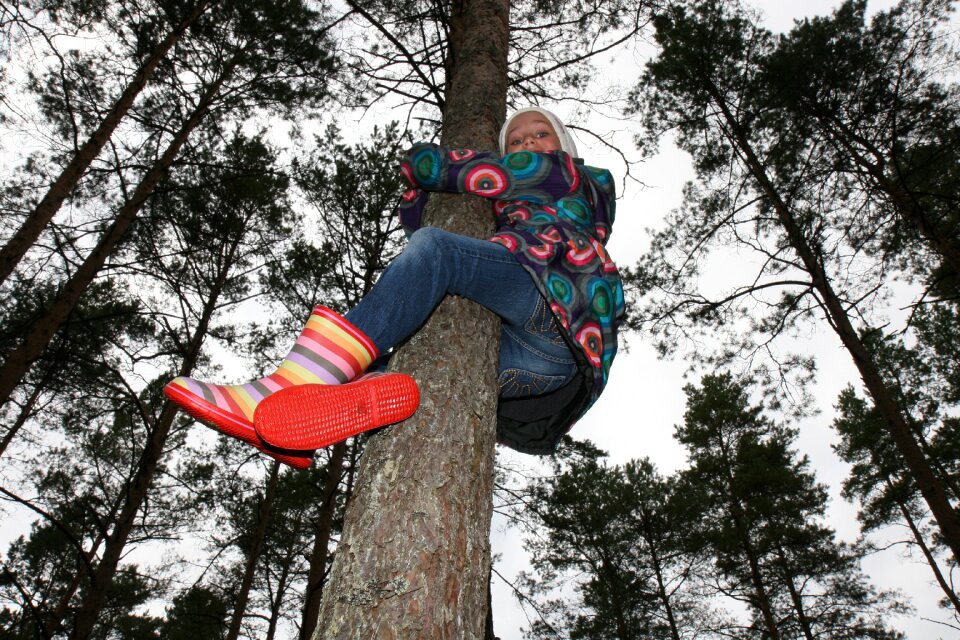 Action outdoor tree