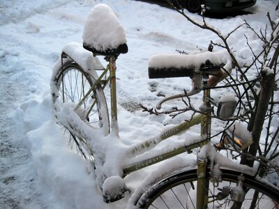 Snow winter cold