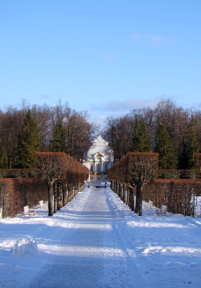 Palace trees shadow