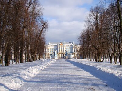 Trees palace road snow