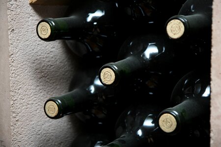 Bordeaux france winery photo